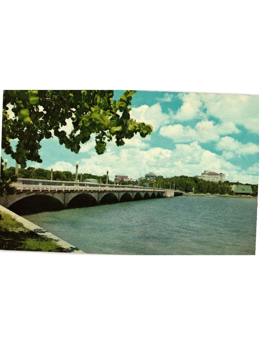 Clearwater Florida Memorial Causeway Bridge Vintage Postcard Color Linen